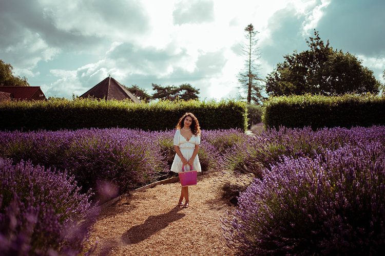 Postcards from Hawaii Travel & Lifestyle blog Everything you need to know about visiting Norfolk Lavender, Norfolk Lavender, Lavender fields Norfolk, lavender farm Norfolk