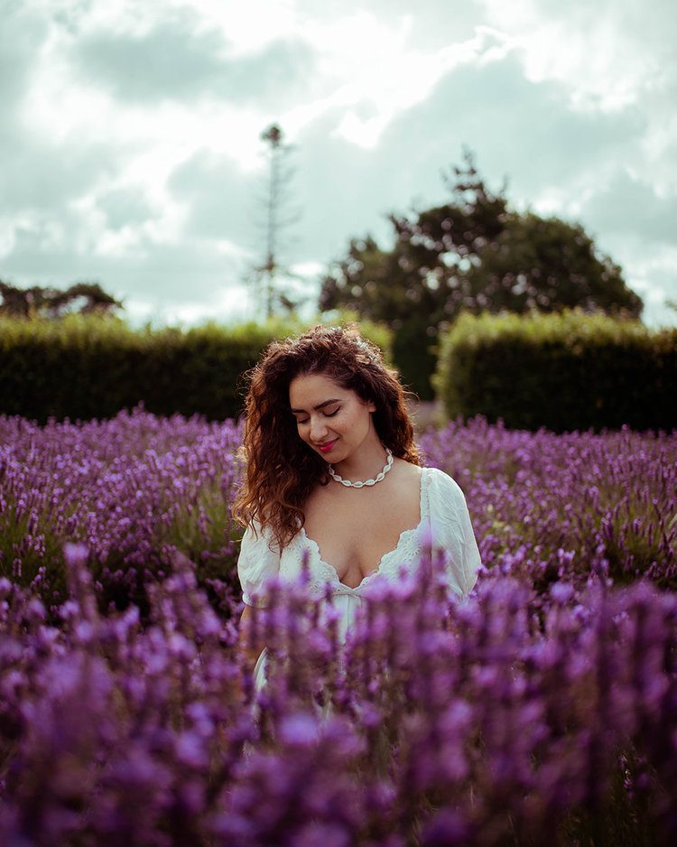 Postcards from Hawaii Travel & Lifestyle blog Everything you need to know about visiting Norfolk Lavender, Norfolk Lavender, Lavender fields Norfolk, lavender farm Norfolk