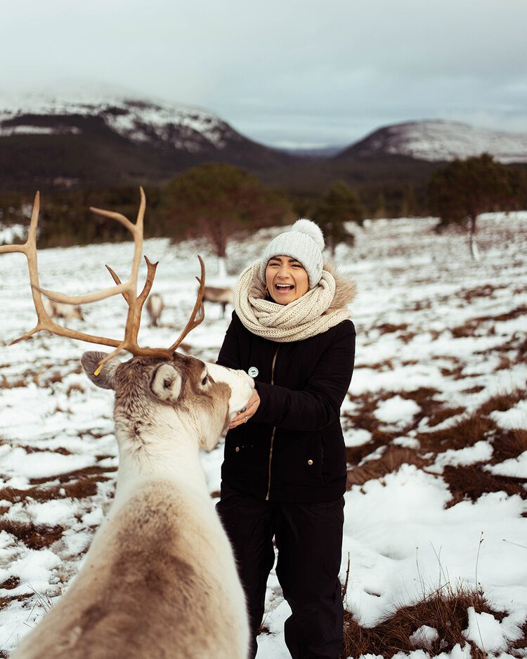 PFHPostcardsfromHawaiiSnowReindeerCairngormNationalParkSnood