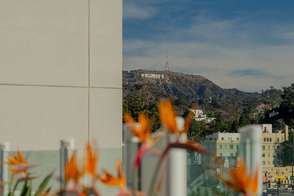 Postcards from Hawaii Travel Lifestyle Blog Gabriella Wisdom Why Loews Hollywood Hotel is the best hotel to stay in Los Angeles Hollywood Sign Hollywood Walk of Fame California